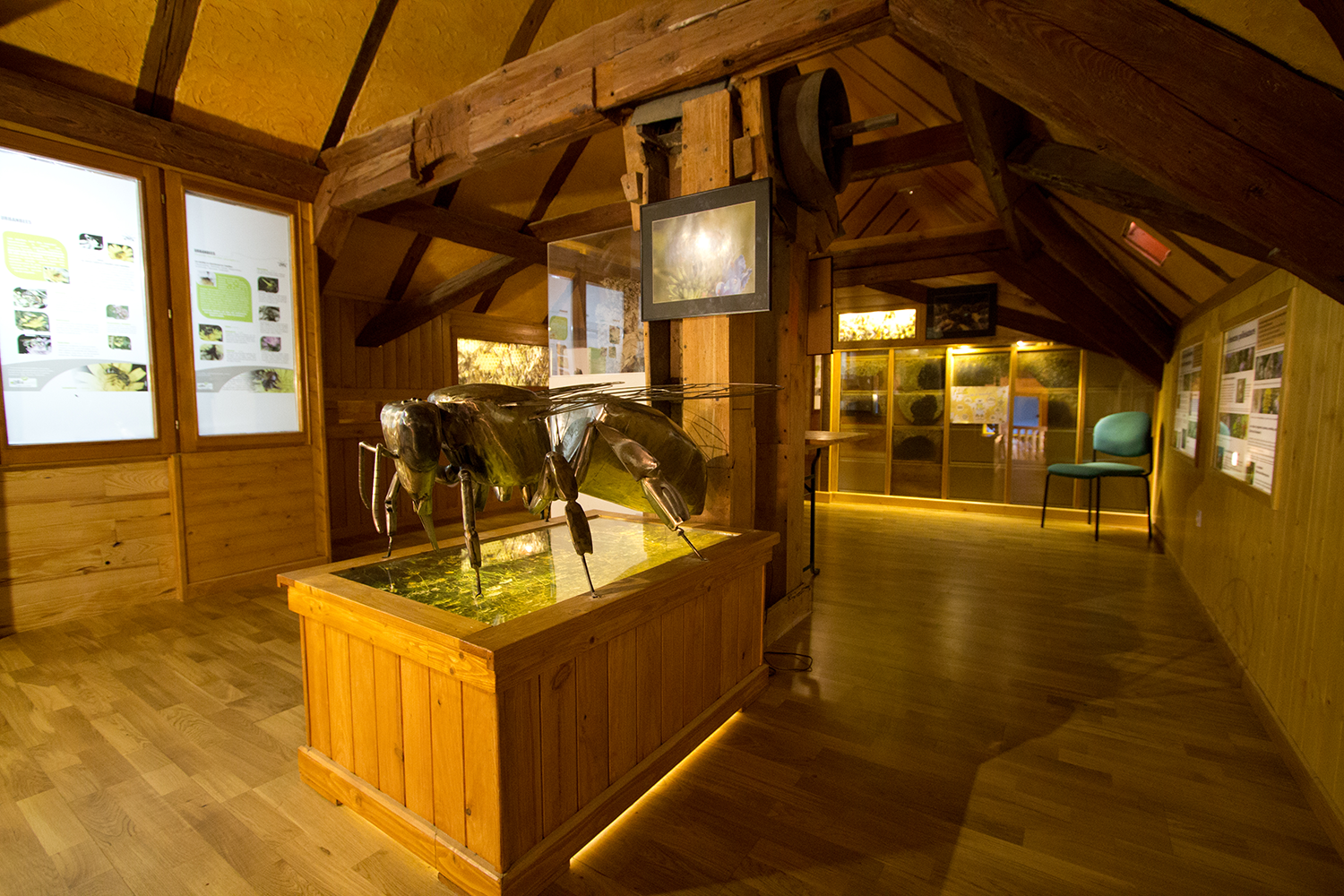 le vivarium du moulin (68610 Lautenbach-Zell) Etage_abeille