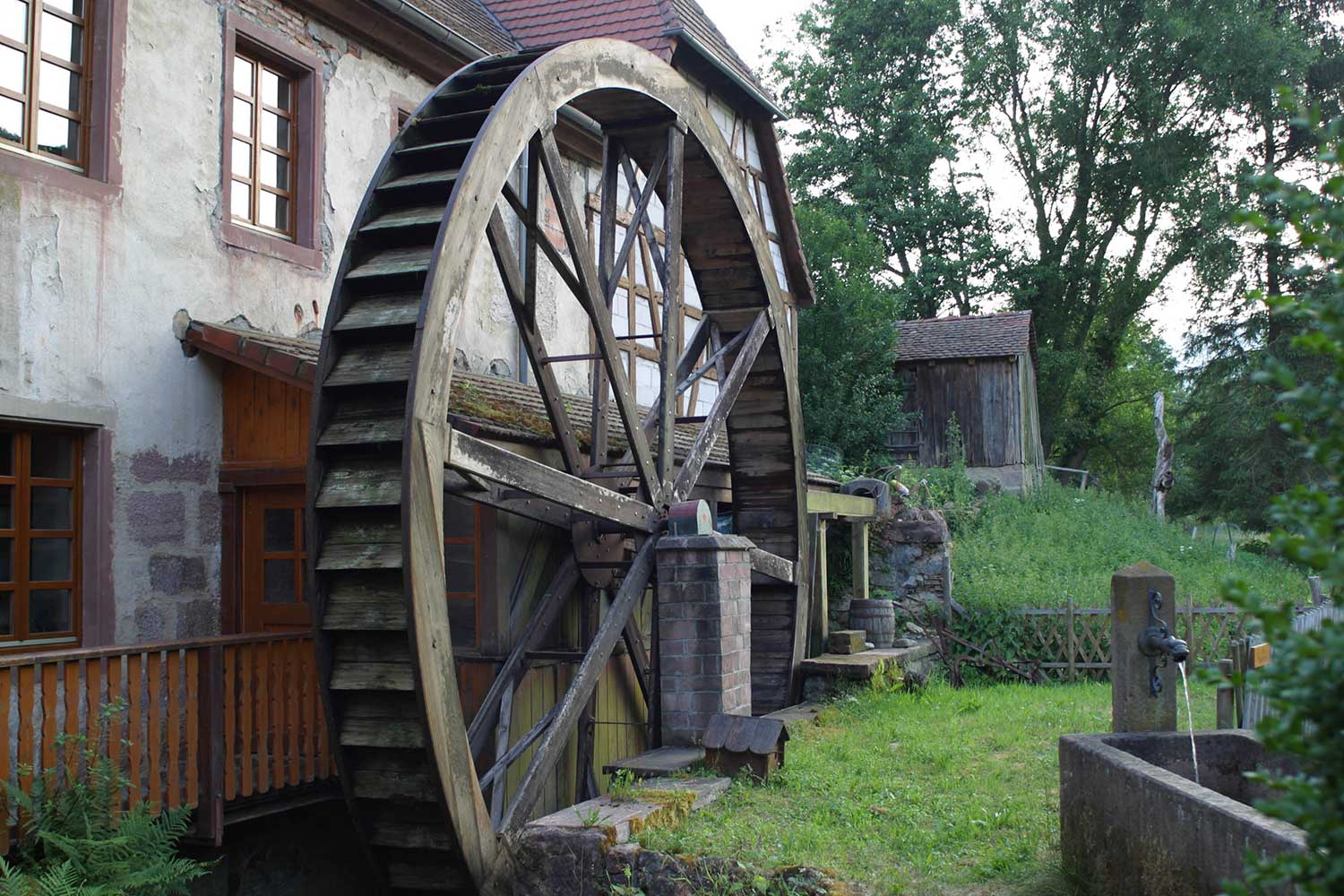 VIVARIUM DU MOULIN (Lautenbach): Ce qu'il faut savoir pour votre visite  (avec photos)