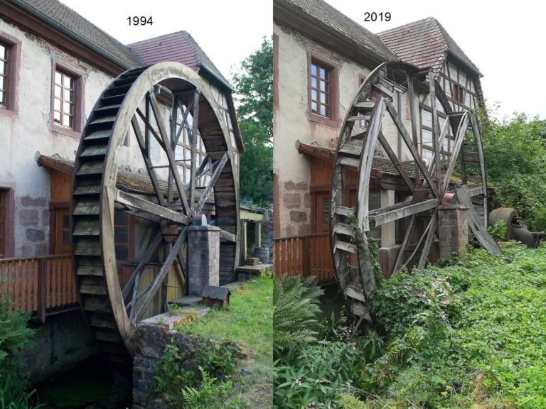 VIVARIUM DU MOULIN (Lautenbach): Ce qu'il faut savoir pour votre visite  (avec photos)