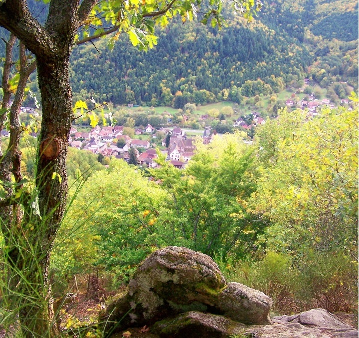 Vivarium du moulin. Au paradis des petites bêtes