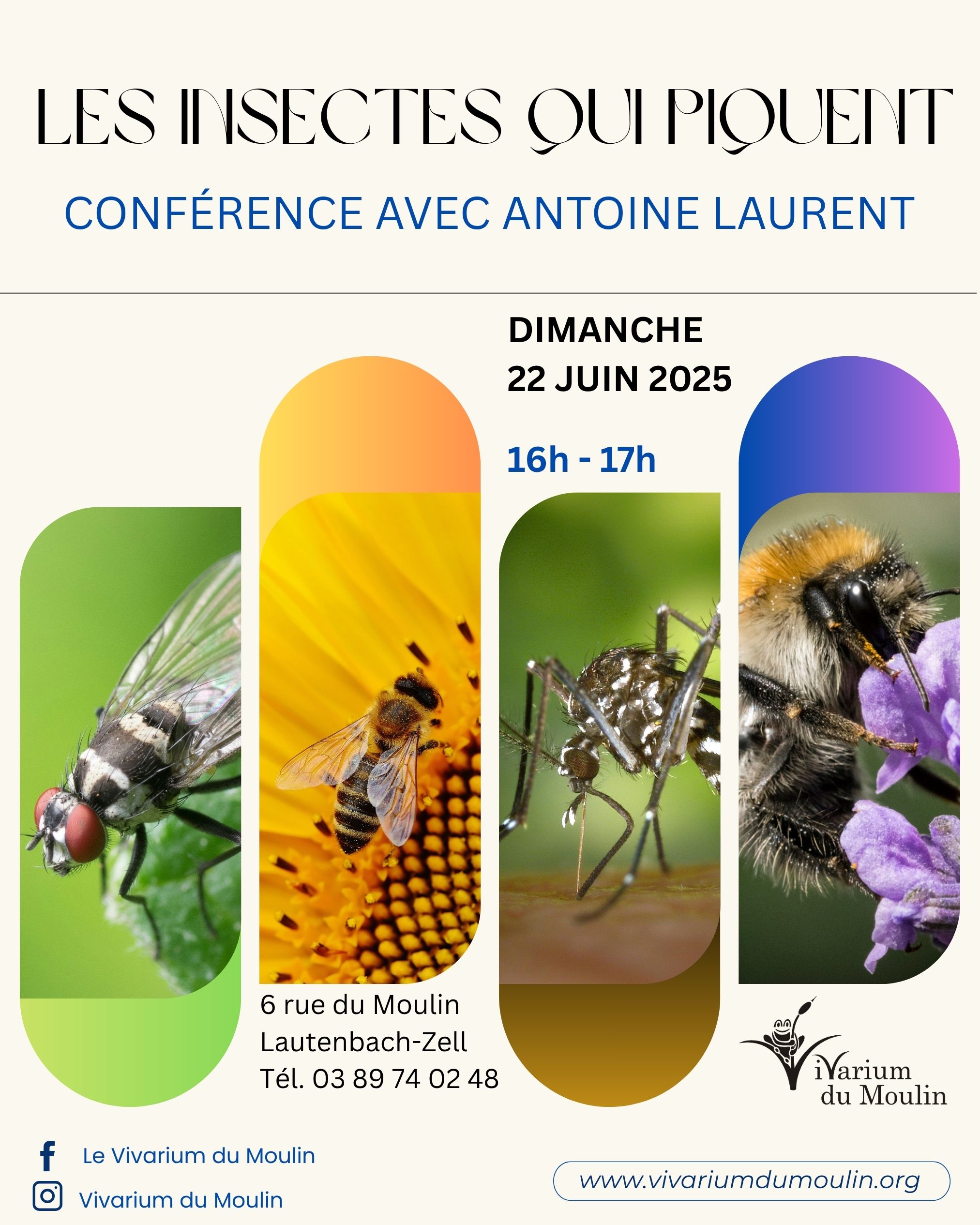 Conférence "Les insectes qui piquent"