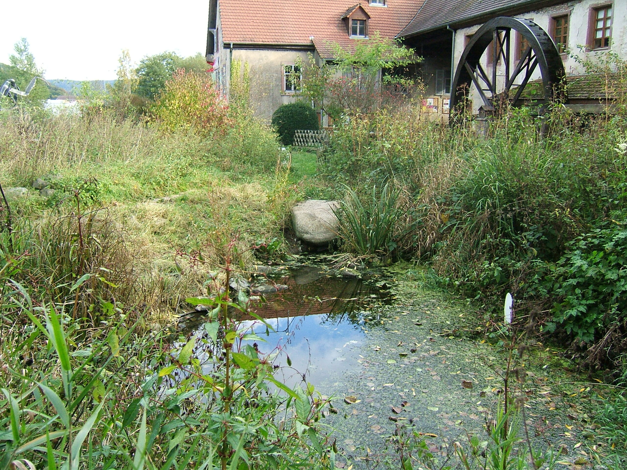 La mare du Vivarium